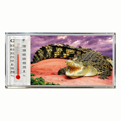 3D Thermometer Magnet Crocodile